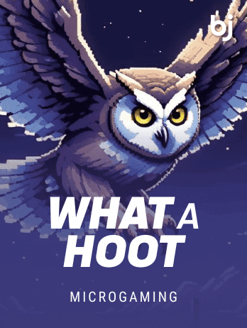 What A Hoot thumbnail